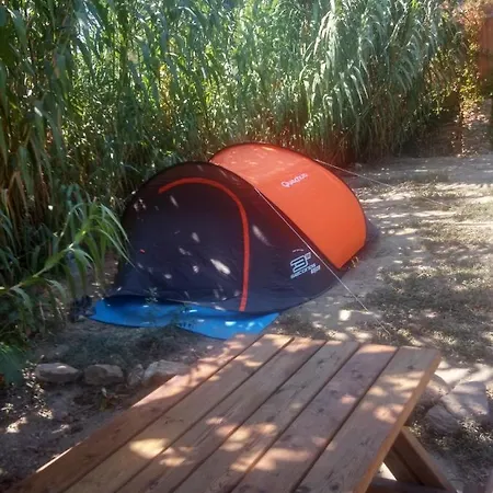 Campingplatz Les Bambous, Gamping Gay Et Naturiste Île du Levant