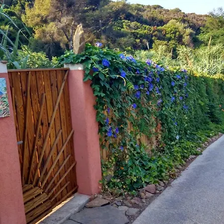 Les Bambous, Naturiste * Île du Levant