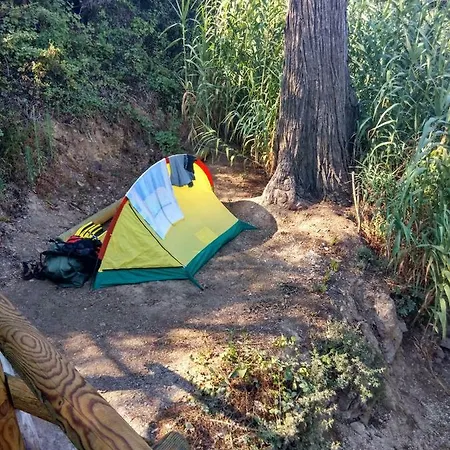 Campingplatz Les Bambous, Gamping Gay Et Naturiste *