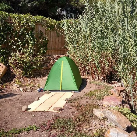 Campsite Les Bambous, Gamping Gay Et Naturiste Ile du Levant